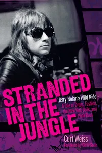 Stranded in the Jungle_cover