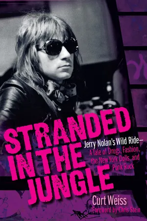 Stranded in the Jungle