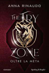The Try Zone_cover