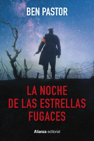 La noche de las estrellas fugaces
