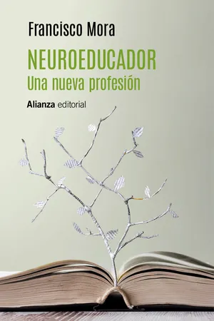 Neuroeducador. Una nueva profesión