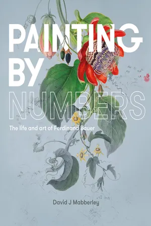 Painting by Numbers