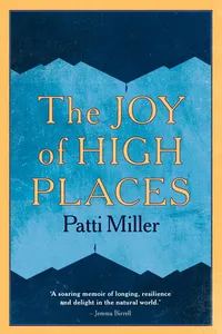 The Joy of High Places_cover