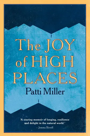 The Joy of High Places