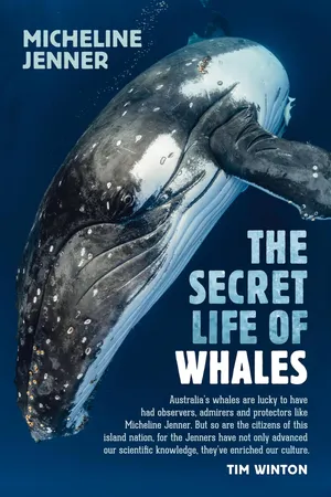 The Secret Life of Whales