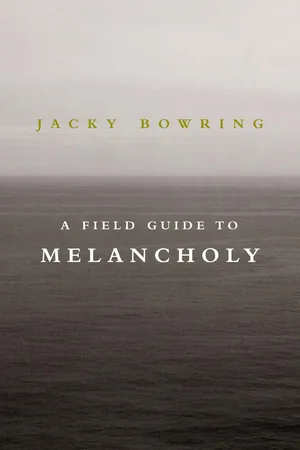 A Field Guide to Melancholy
