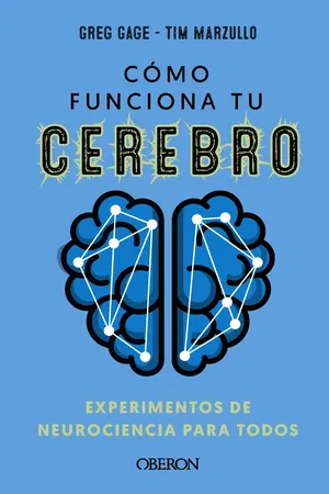 Cómo funciona tu cerebro: experimentos de neurociencia para todos