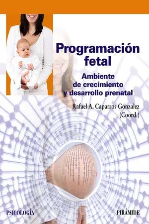Programación fetal