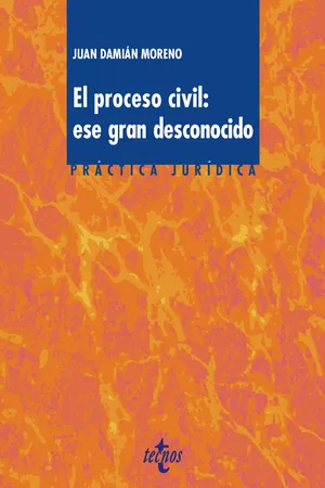 El proceso civil. Ese gran desconocido