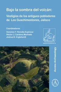 Bajo la sombra del volcán_cover