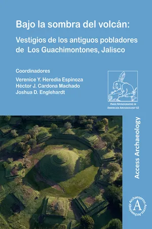 Bajo la sombra del volcán