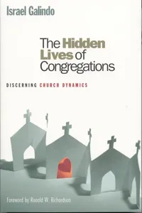 The Hidden Lives of Congregations_cover