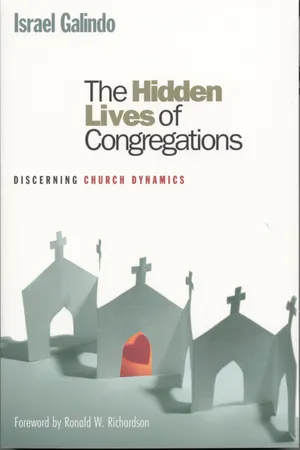 The Hidden Lives of Congregations