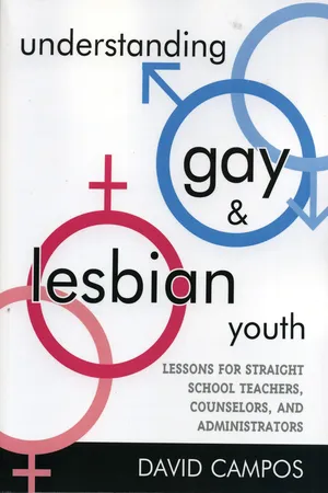 Understanding Gay and Lesbian Youth
