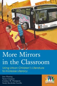More Mirrors in the Classroom_cover