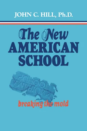 The New American School