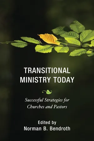 Transitional Ministry Today