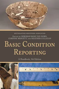 Basic Condition Reporting_cover
