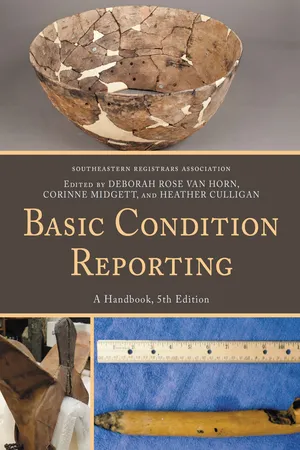 Basic Condition Reporting