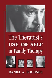 Therapists Use of Self in Family Therapy_cover