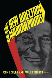 The New Direction in American Politics_cover