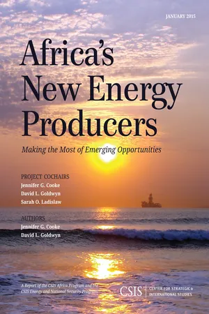 Africa's New Energy Producers