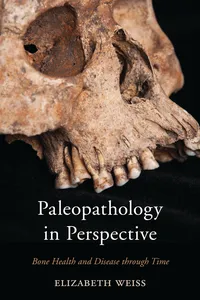 Paleopathology in Perspective_cover