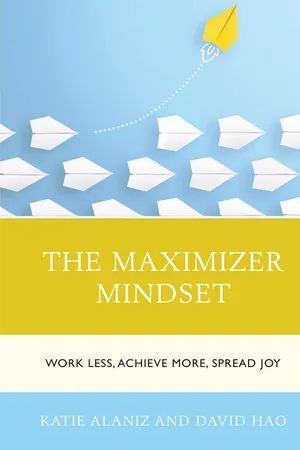The Maximizer Mindset