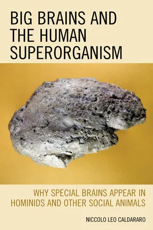 Big Brains and the Human Superorganism
