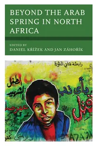 Beyond the Arab Spring in North Africa_cover