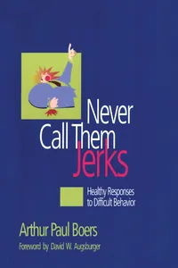 Never Call Them Jerks_cover