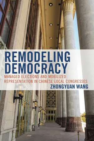Remodeling Democracy