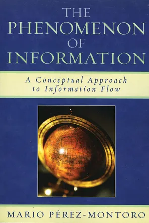The Phenomenon of Information