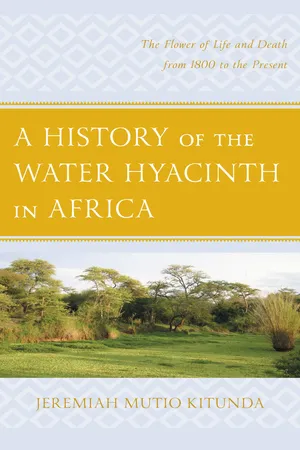A History of the Water Hyacinth in Africa