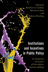 Institutions and Incentives in Public Policy_cover