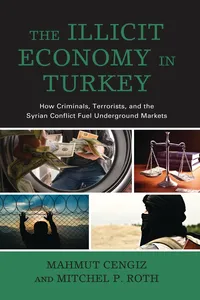 The Illicit Economy in Turkey_cover