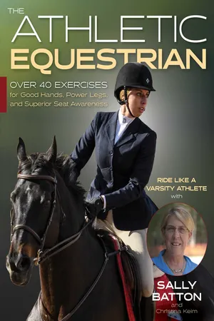 Athletic Equestrian