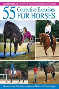 55 Corrective Exercises for Horses_cover