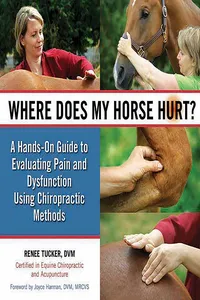 Where Does My Horse Hurt?_cover