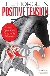 Horse in Positive Tension_cover
