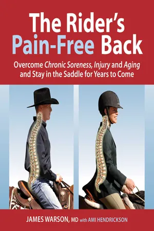 Rider's Pain-Free Back