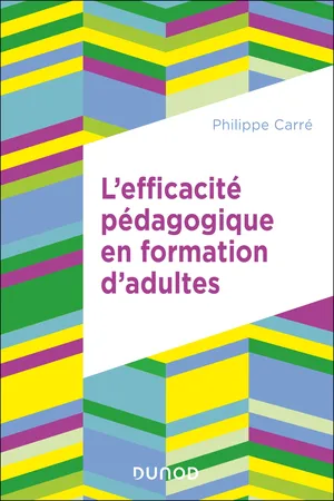 L'efficacité pédagogique en formation d'adultes