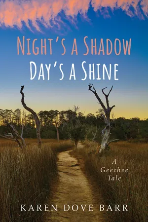 Night’s a Shadow; Day’s a Shine