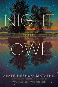 Night Owl_cover