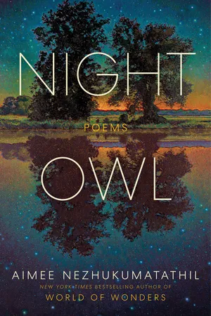 Night Owl