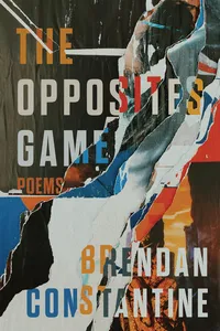 The Opposites Game_cover