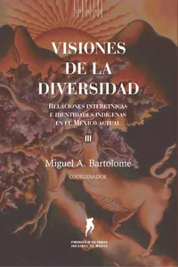 Visiones de la diversidad_cover