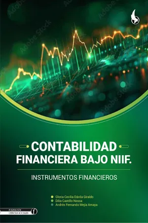 Contabilidad financiera bajo NIIF