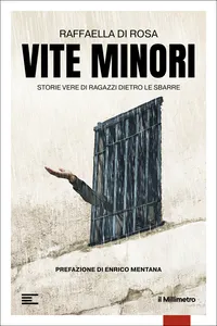 Vite minori_cover
