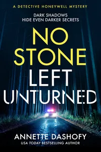 A No Stone Left Unturned_cover